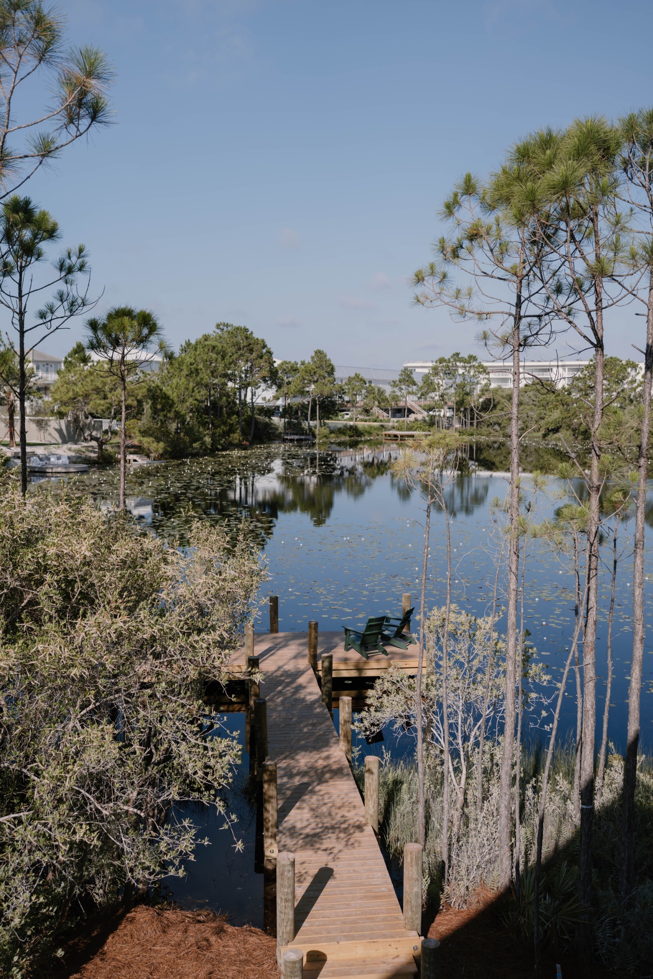 Lake view from the property